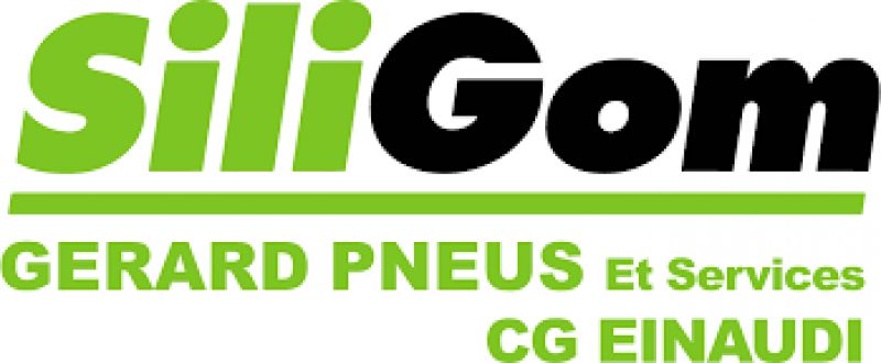 logo gpneus
