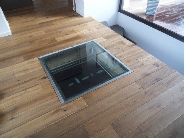 CHENE VIEILLI A SAINT MAXIMIN DANS LE VAR